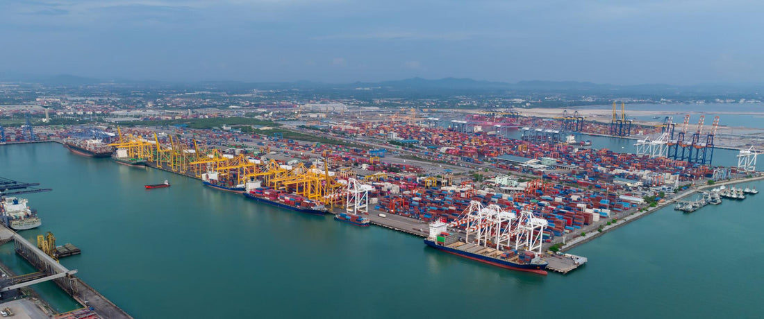 Basic Guide to Importing Food Products for New Buyers